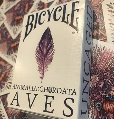 PlayingCardDecks.com-Aves Uncaged Bicycle Playing Cards