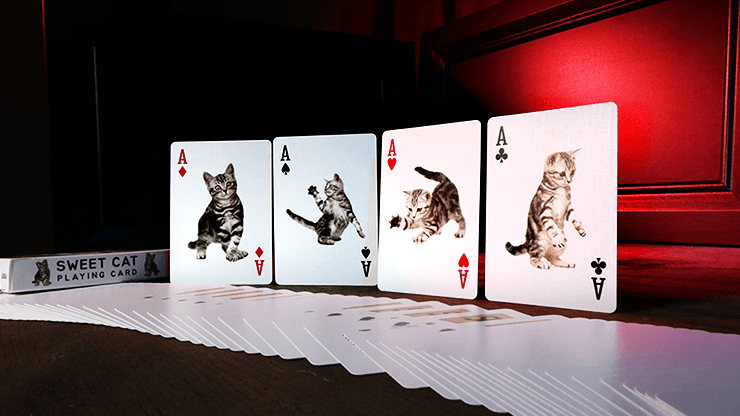 PlayingCardDecks.com-Sweet Cat Bicycle Playing Cards Deck