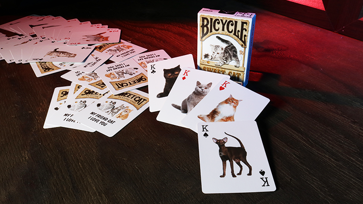 PlayingCardDecks.com-Sweet Cat Bicycle Playing Cards Deck