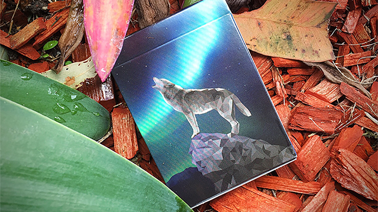 PlayingCardDecks.com-Wild Playing Cards USPCC