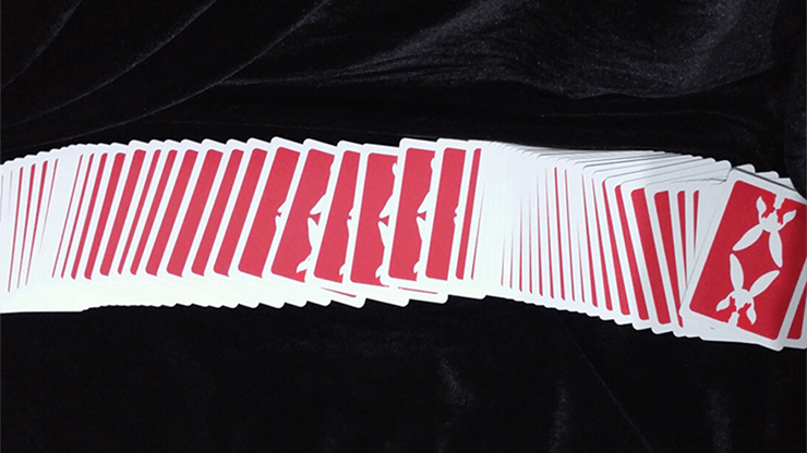 PlayingCardDecks.com-Rabbit Bicycle Playing Cards