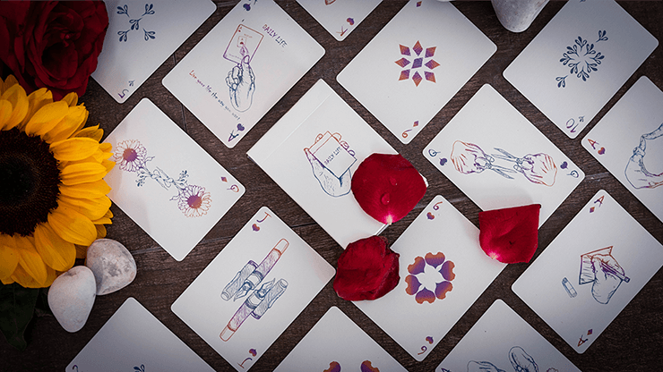 PlayingCardDecks.com-Daily Life 500 Collector's Edition Playing Cards USPCC