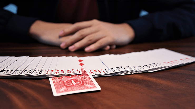 PlayingCardDecks.com-Anarchy Bicycle Playing Cards