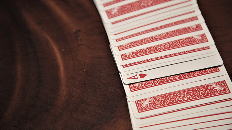 PlayingCardDecks.com-Anarchy Bicycle Playing Cards