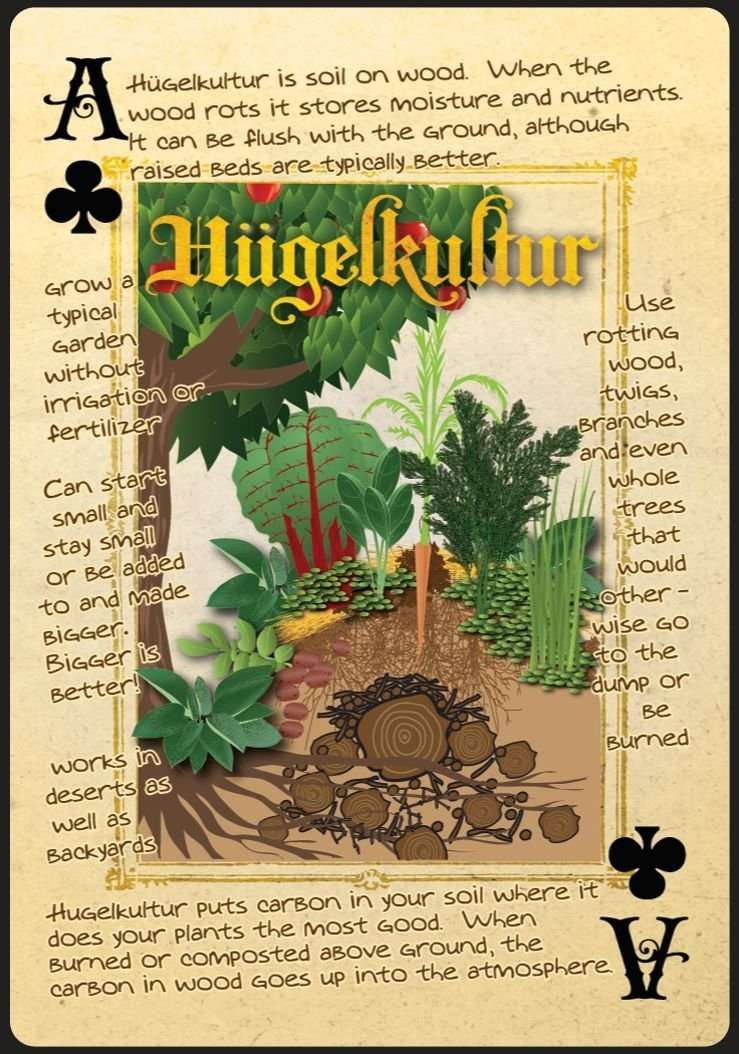 PlayingCardDecks.com-Permaculture Playing Cards