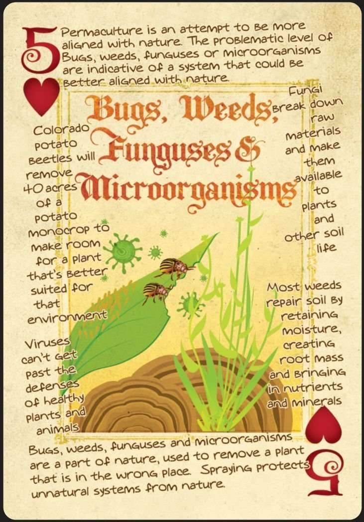 PlayingCardDecks.com-Permaculture Playing Cards