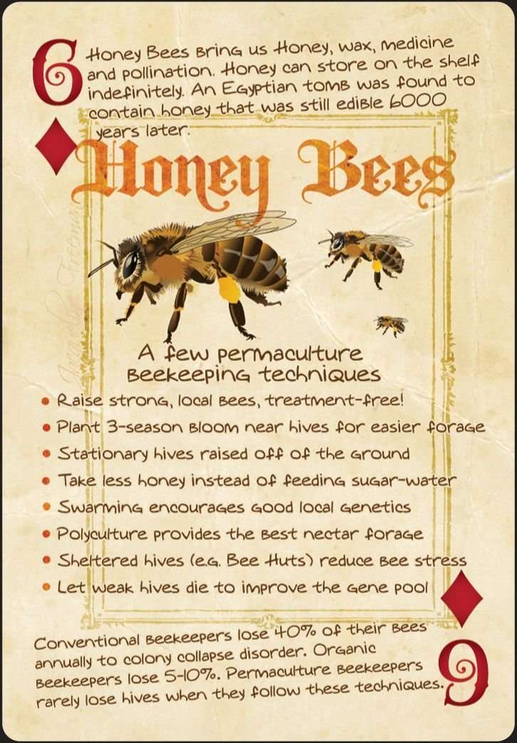PlayingCardDecks.com-Permaculture Playing Cards