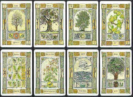 PlayingCardDecks.com-Celtic Tree Oracle - 25 Cards & 116 Page Guidebook