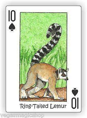 PlayingCardDecks.com-Wild Playing Cards Hidden Seek-N-Find Animals Deck