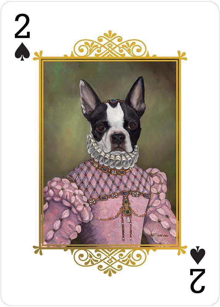 PlayingCardDecks.com-Animal Portraits Playing Cards USGS