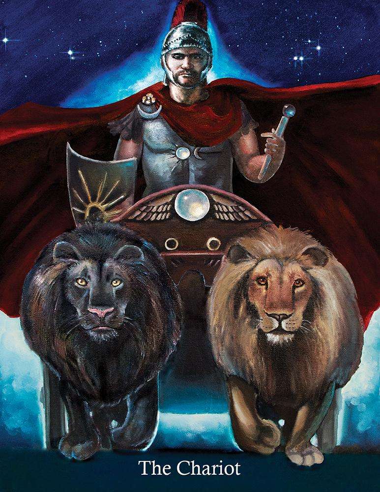 PlayingCardDecks.com-Ancestral Path Tarot Deck USGS