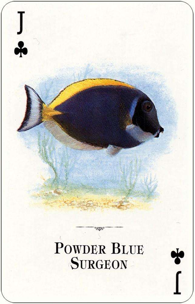 PlayingCardDecks.com-Aquarium Fish of the Natural World Playing Cards USGS