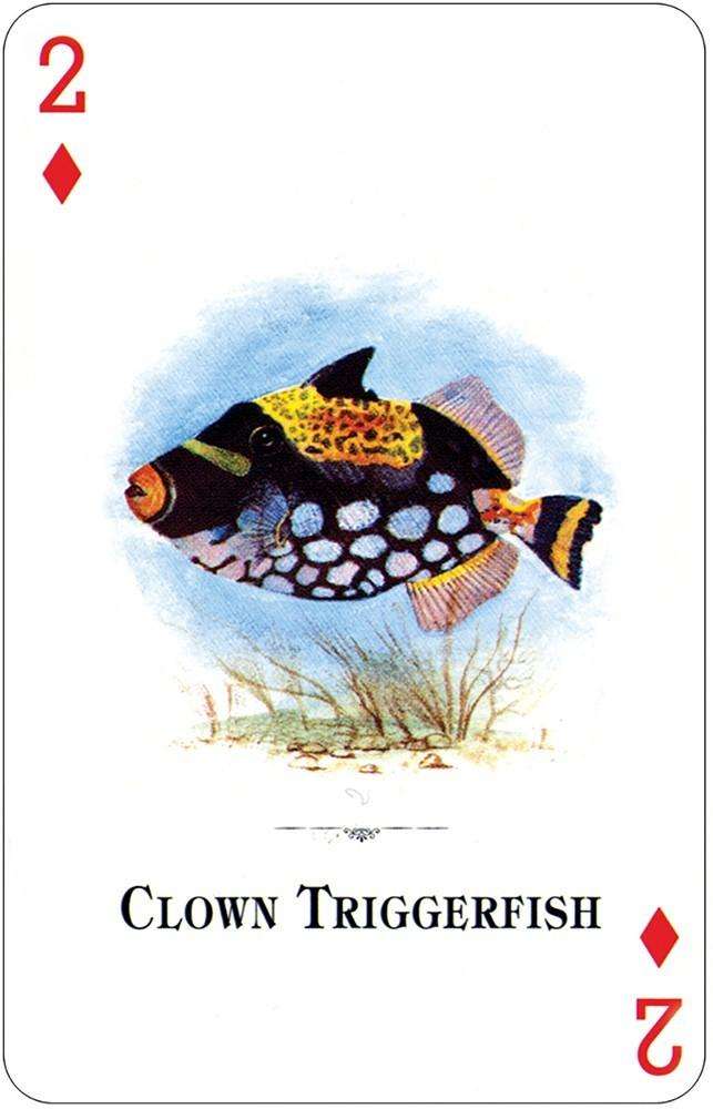 PlayingCardDecks.com-Aquarium Fish of the Natural World Playing Cards USGS