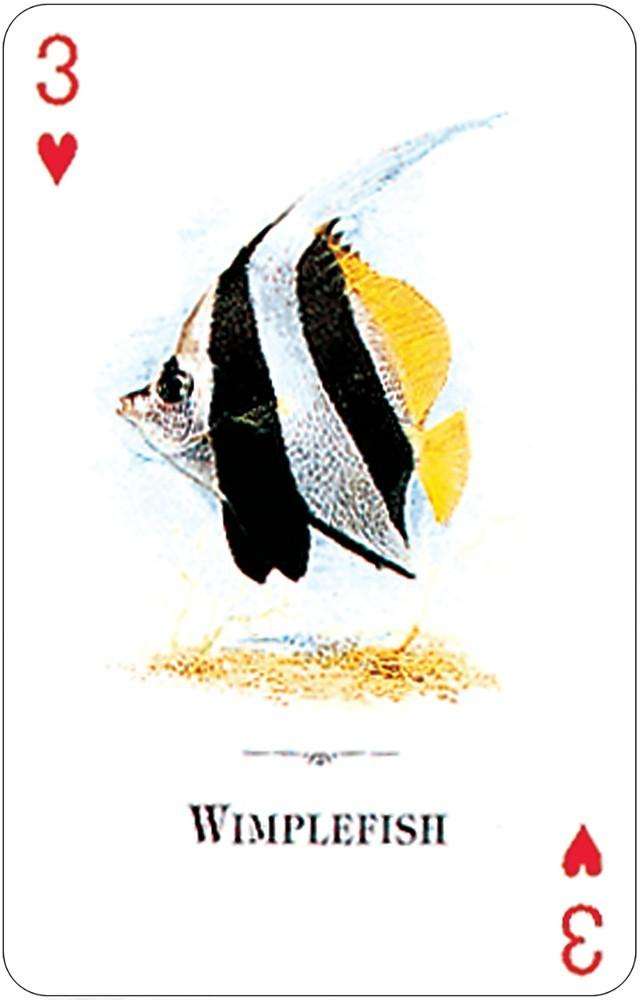 PlayingCardDecks.com-Aquarium Fish of the Natural World Playing Cards USGS