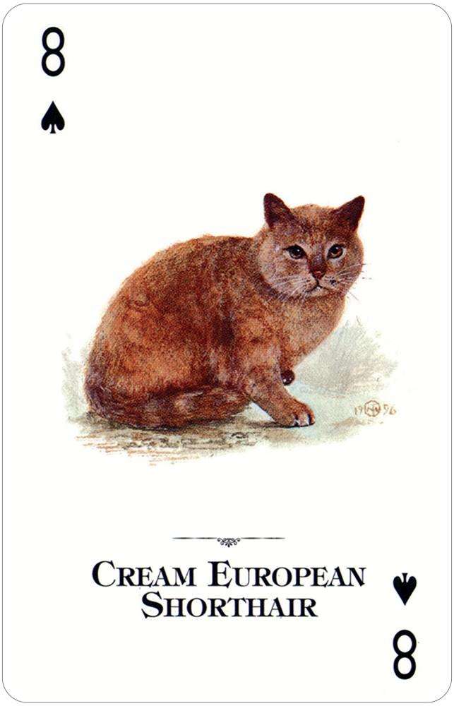 PlayingCardDecks.com-Cats of the Natural World Playing Cards USGS