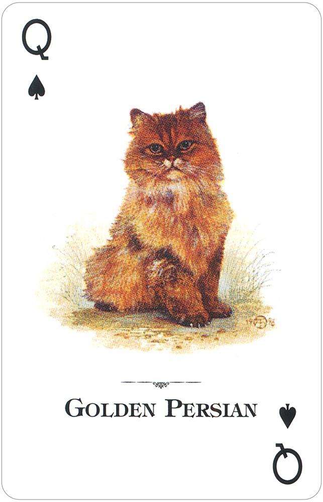 PlayingCardDecks.com-Cats of the Natural World Playing Cards USGS