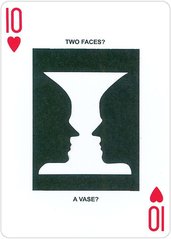 PlayingCardDecks.com-Can You Believe Your Eyes? Playing Cards USGS