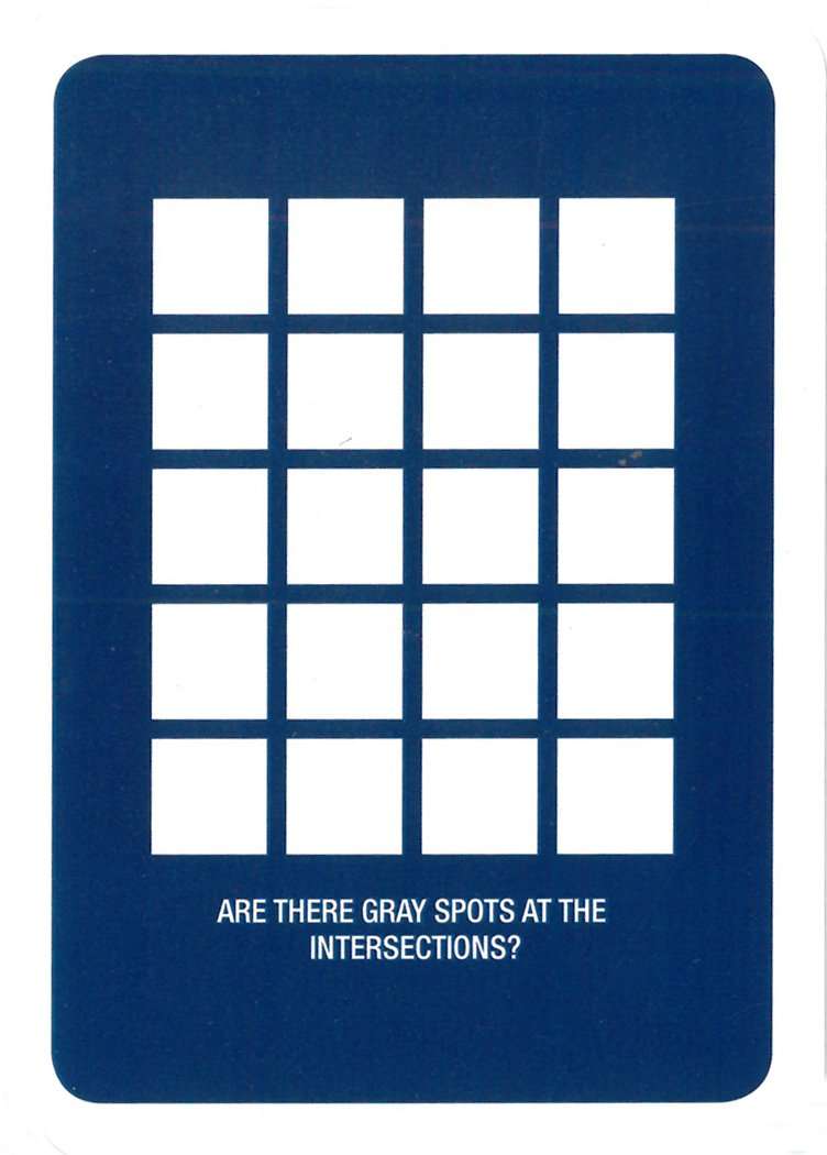 PlayingCardDecks.com-Can You Believe Your Eyes? Playing Cards USGS