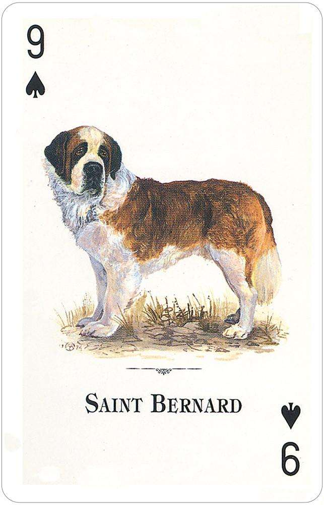 PlayingCardDecks.com-Dogs of the Natural World Playing Cards USGS