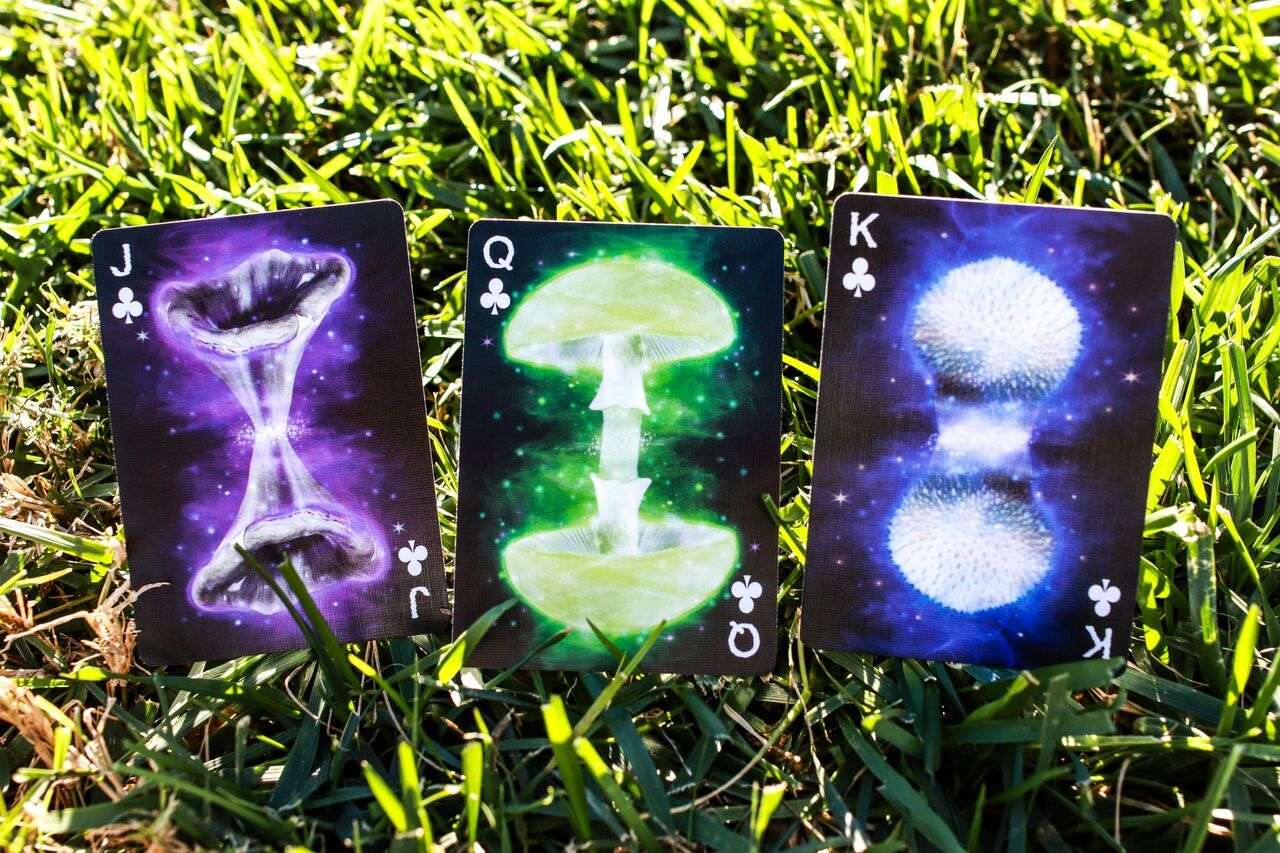 PlayingCardDecks.com-Fungi Mystic Mushrooms Mycological Playing Cards USPCC