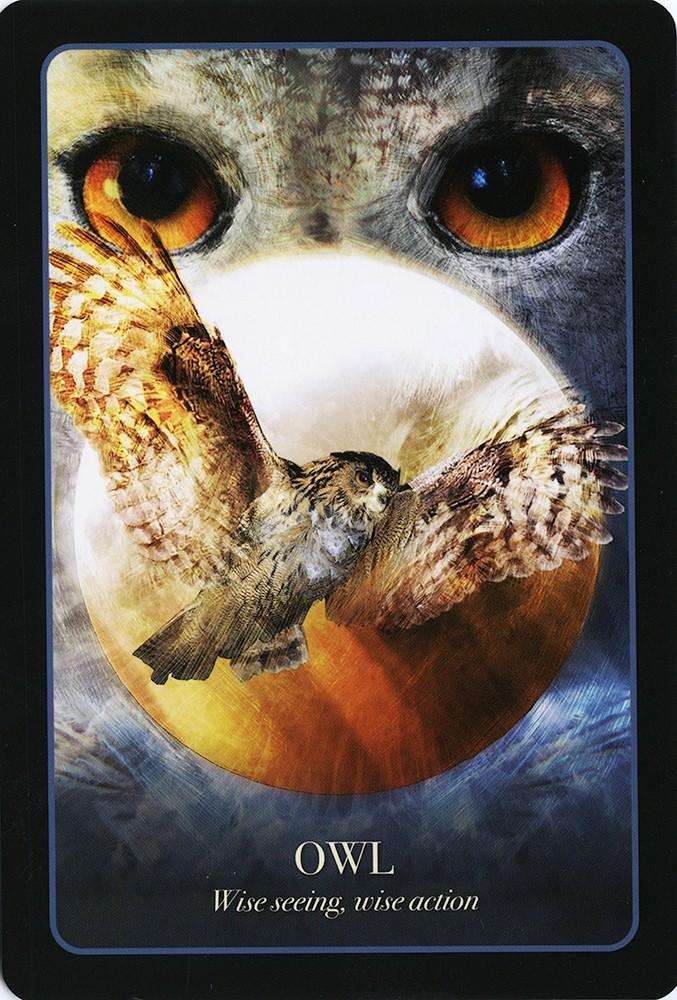 PlayingCardDecks.com-The Halloween Oracle Deck