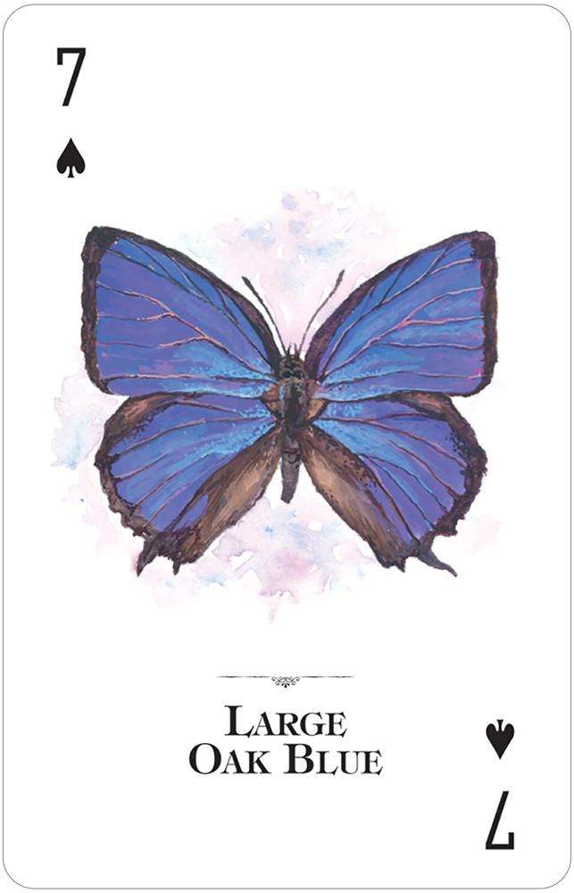 PlayingCardDecks.com-Butterflies of the Natural World Playing Cards USGS