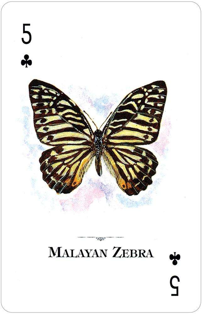 PlayingCardDecks.com-Butterflies of the Natural World Playing Cards USGS