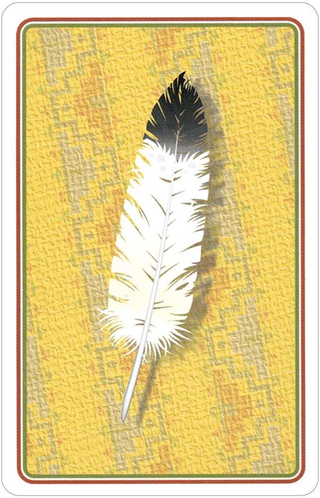 PlayingCardDecks.com-Indian Chiefs of the Old West Playing Cards USGS
