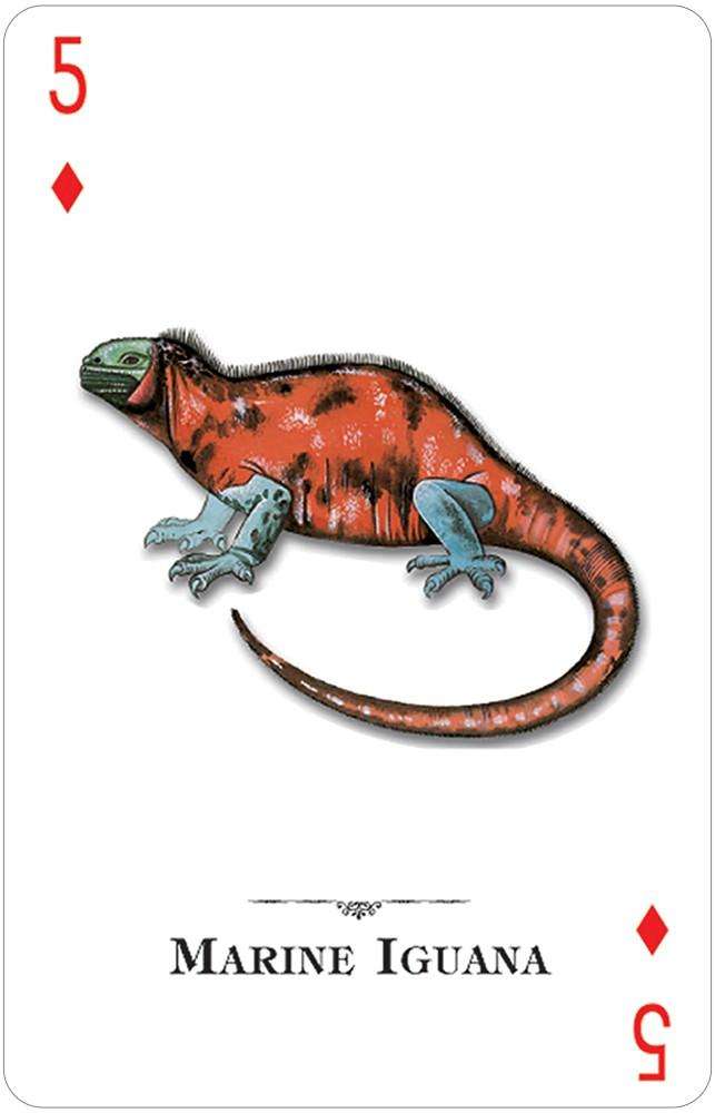 PlayingCardDecks.com-Reptiles & Amphibians of the Natural World Playing Cards USGS
