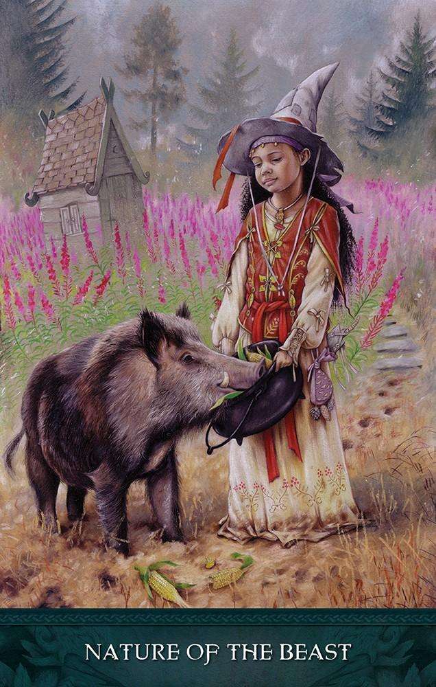 PlayingCardDecks.com-Raven's Wand Oracle Cards USGS
