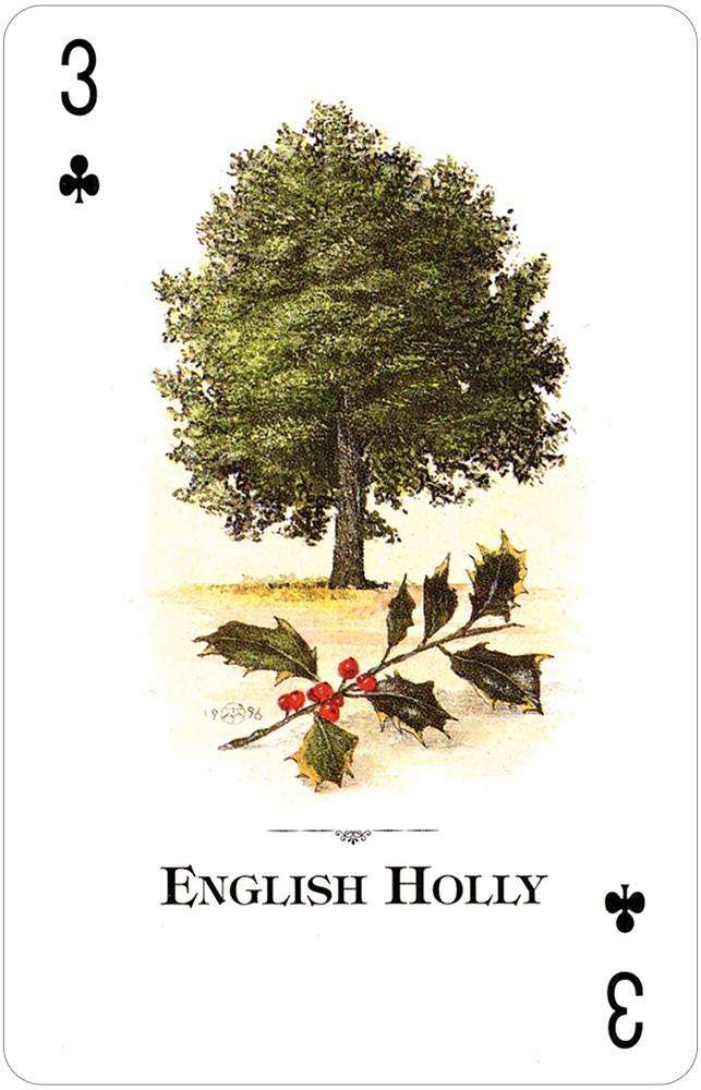 PlayingCardDecks.com-Trees of the Natural World Playing Cards USGS