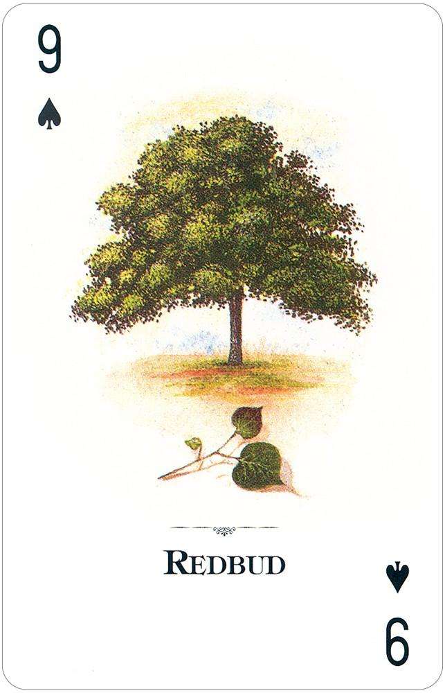 PlayingCardDecks.com-Trees of the Natural World Playing Cards USGS