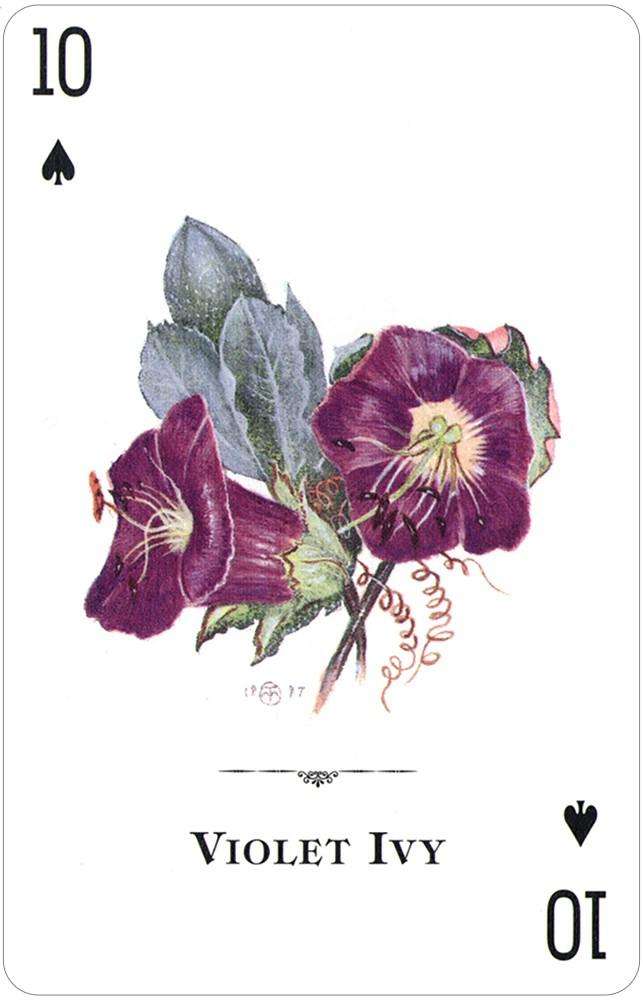 PlayingCardDecks.com-Wildflowers of the Natural World Playing Cards USGS
