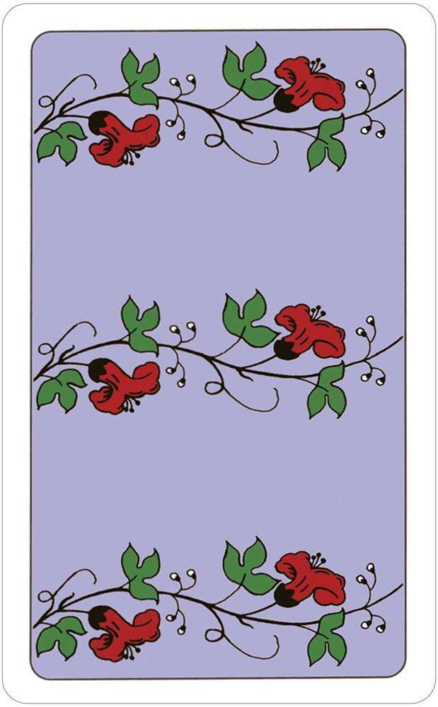 PlayingCardDecks.com-The Wonderland Tarot Deck in Tin USGS
