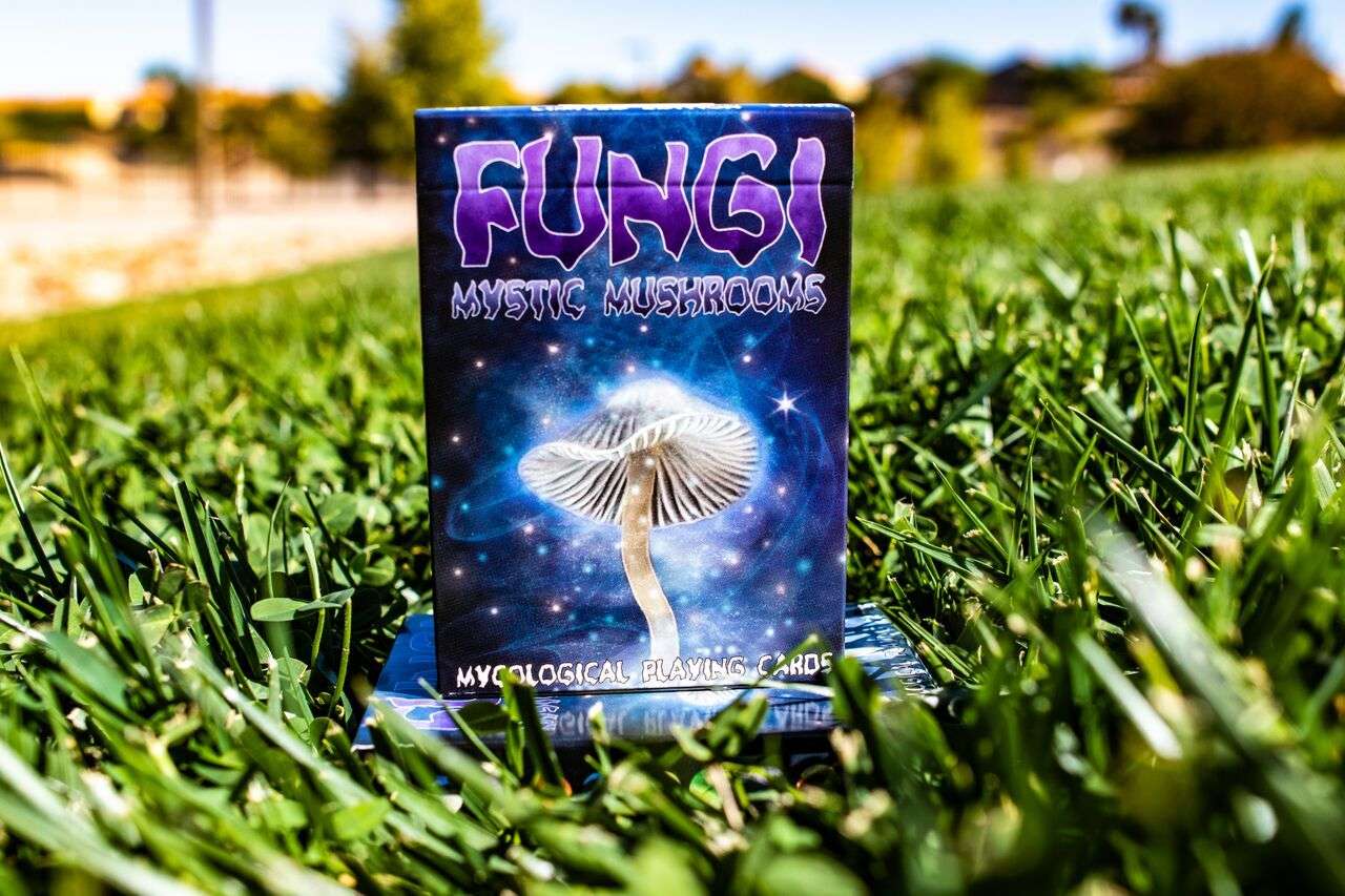 PlayingCardDecks.com-Fungi Mystic Mushrooms Mycological Playing Cards USPCC