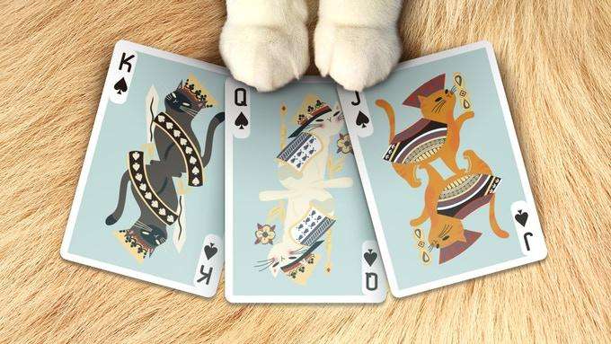 PlayingCardDecks.com-Meow Star Cat Playing Cards USPCC