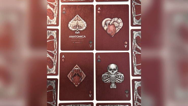 PlayingCardDecks.com-Alterna Playing Cards Cartamundi