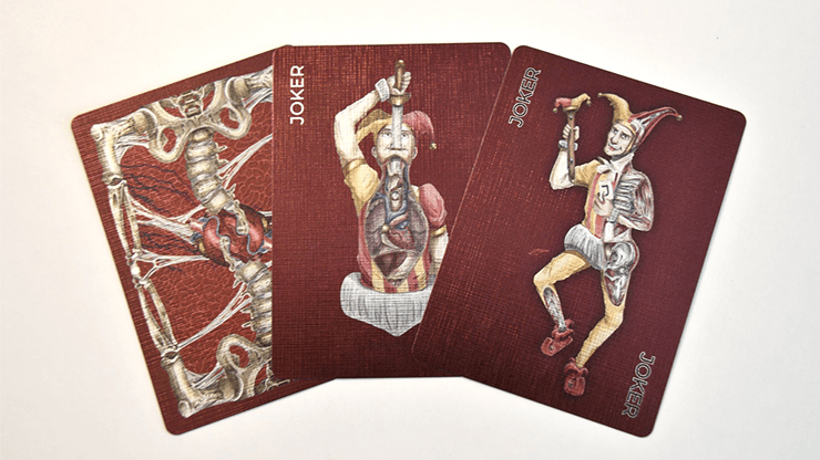 PlayingCardDecks.com-Alterna Playing Cards Cartamundi