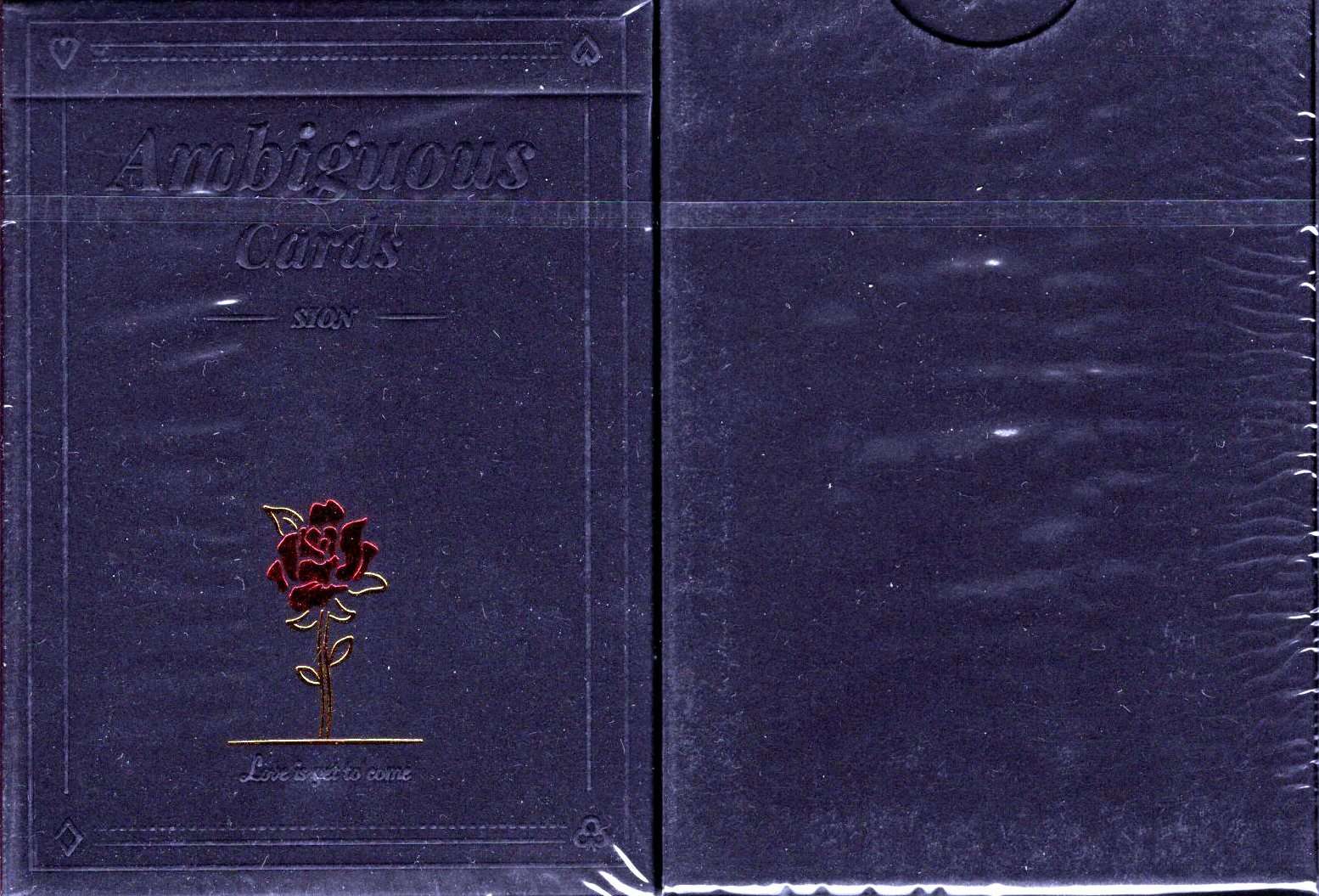 PlayingCardDecks.com-Ambiguous Playing Cards: Black