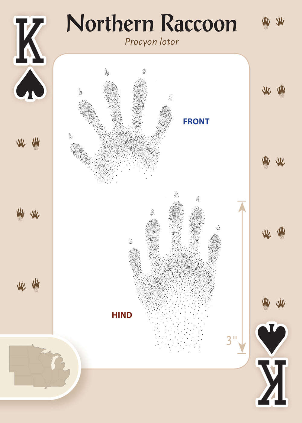 PlayingCardDecks.com-Animal Tracks of the Midwest Playing Cards