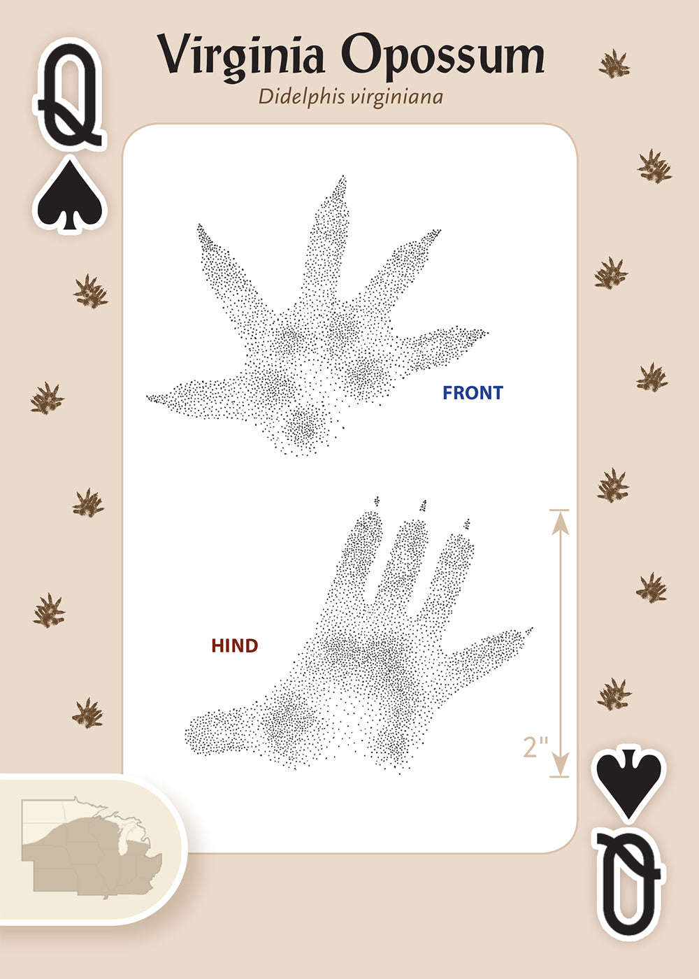 PlayingCardDecks.com-Animal Tracks of the Midwest Playing Cards