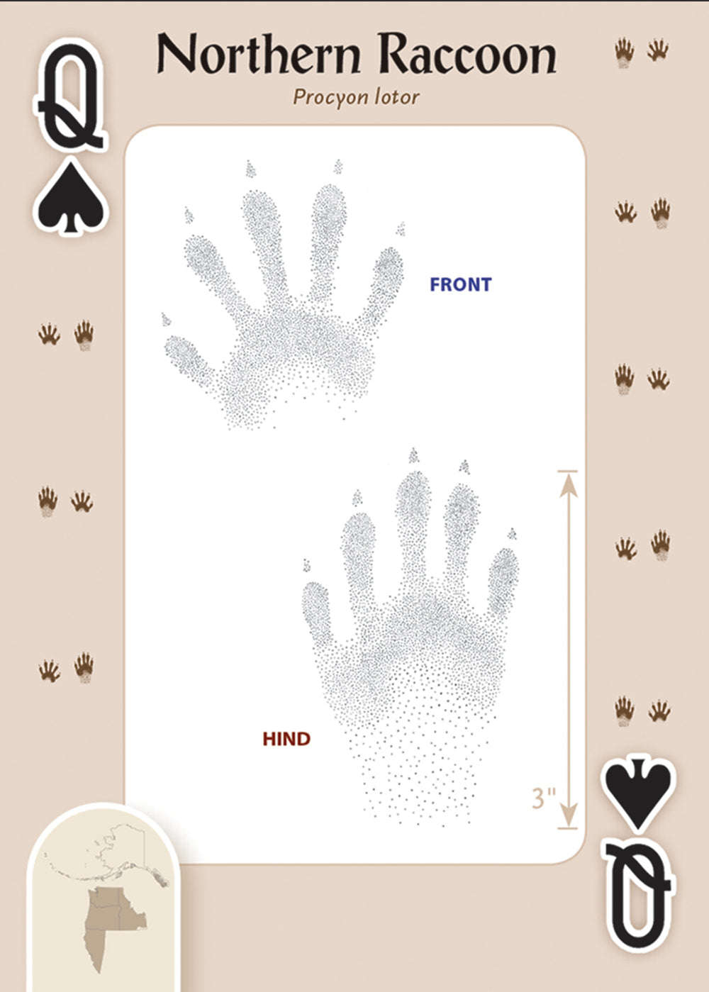 PlayingCardDecks.com-Animal Tracks of the Northwest Playing Cards