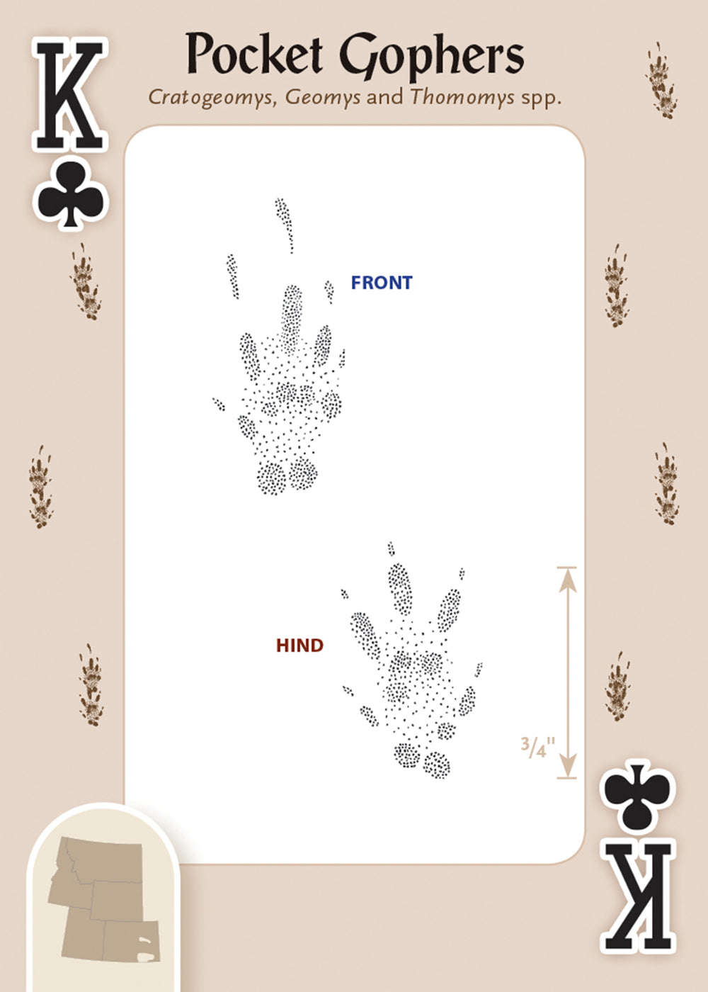 PlayingCardDecks.com-Animal Tracks of the Rocky Mountains Playing Cards