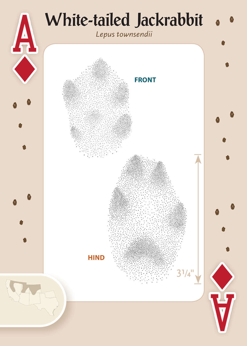 PlayingCardDecks.com-Animal Tracks of the Southwest Playing Cards