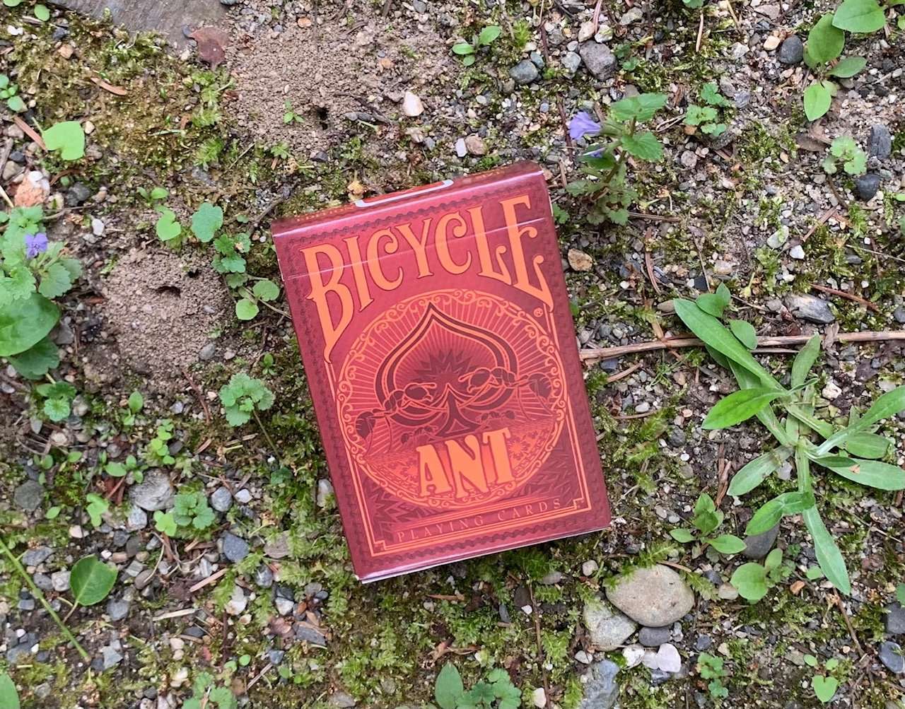 PlayingCardDecks.com-Ant Gilded Bicycle Playing Cards