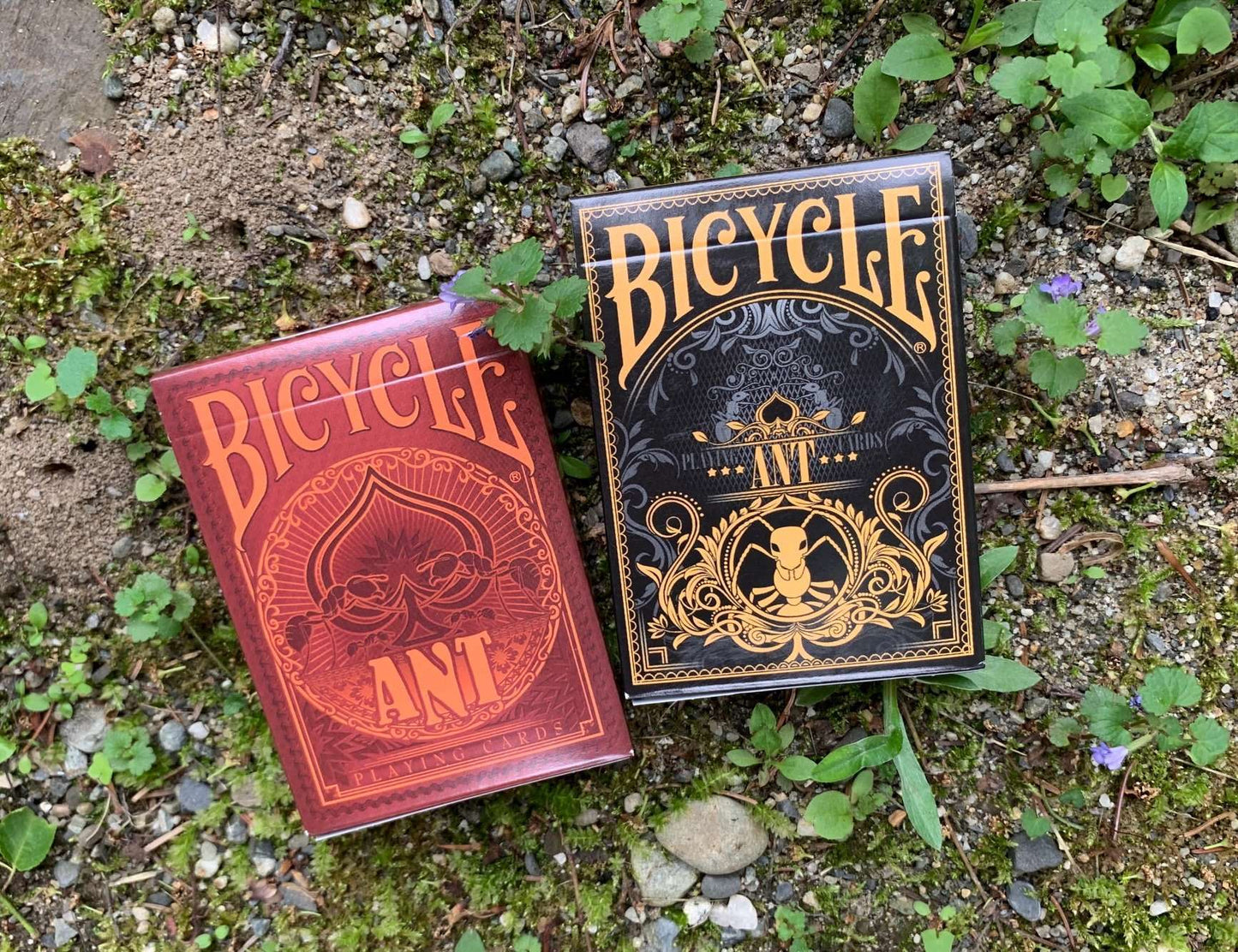 PlayingCardDecks.com-Ant Gilded Bicycle Playing Cards