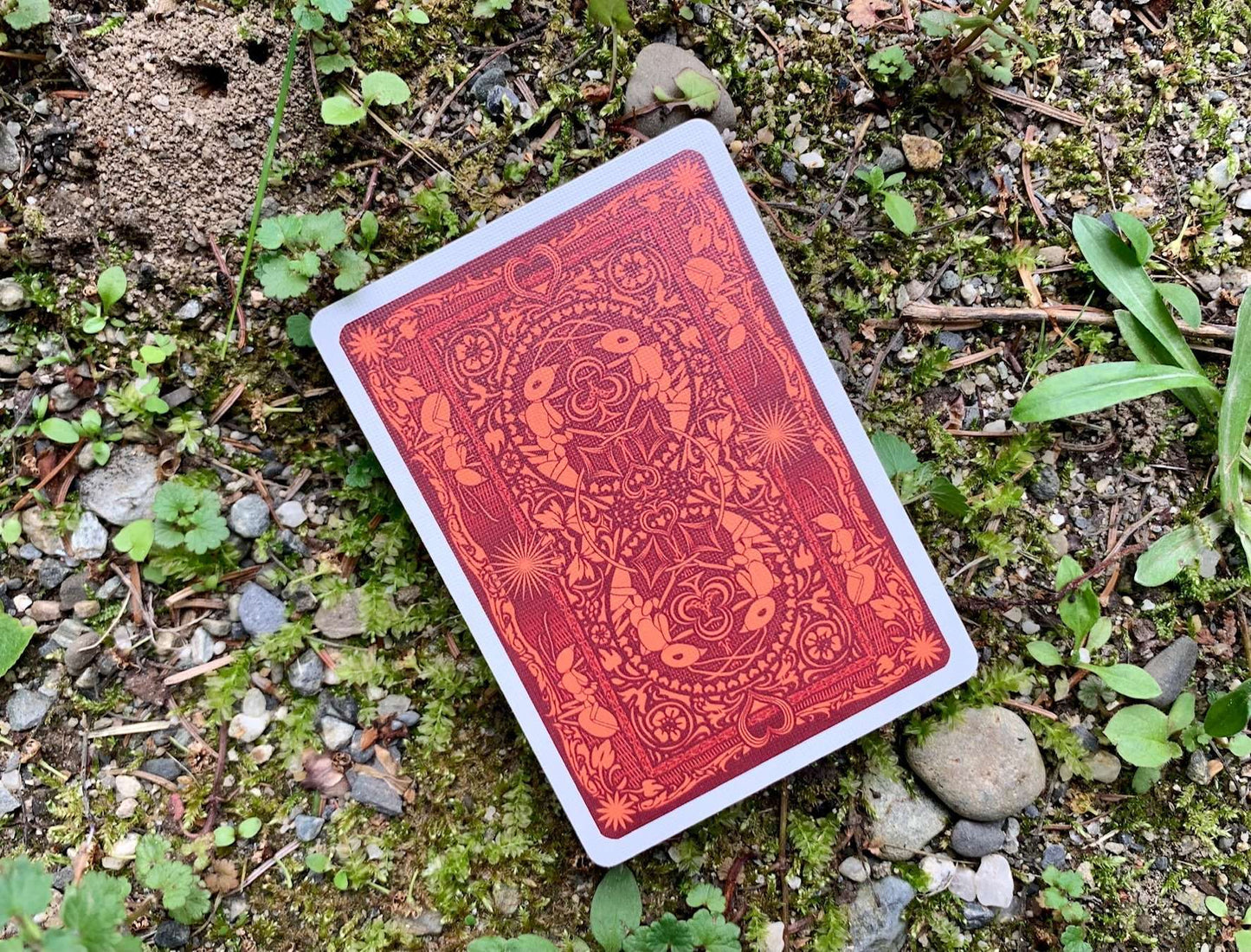 PlayingCardDecks.com-Ant Gilded Bicycle Playing Cards
