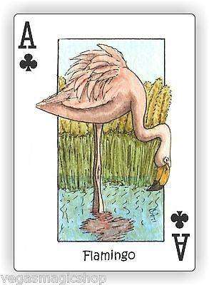 PlayingCardDecks.com-Wild Playing Cards Hidden Seek-N-Find Animals Deck