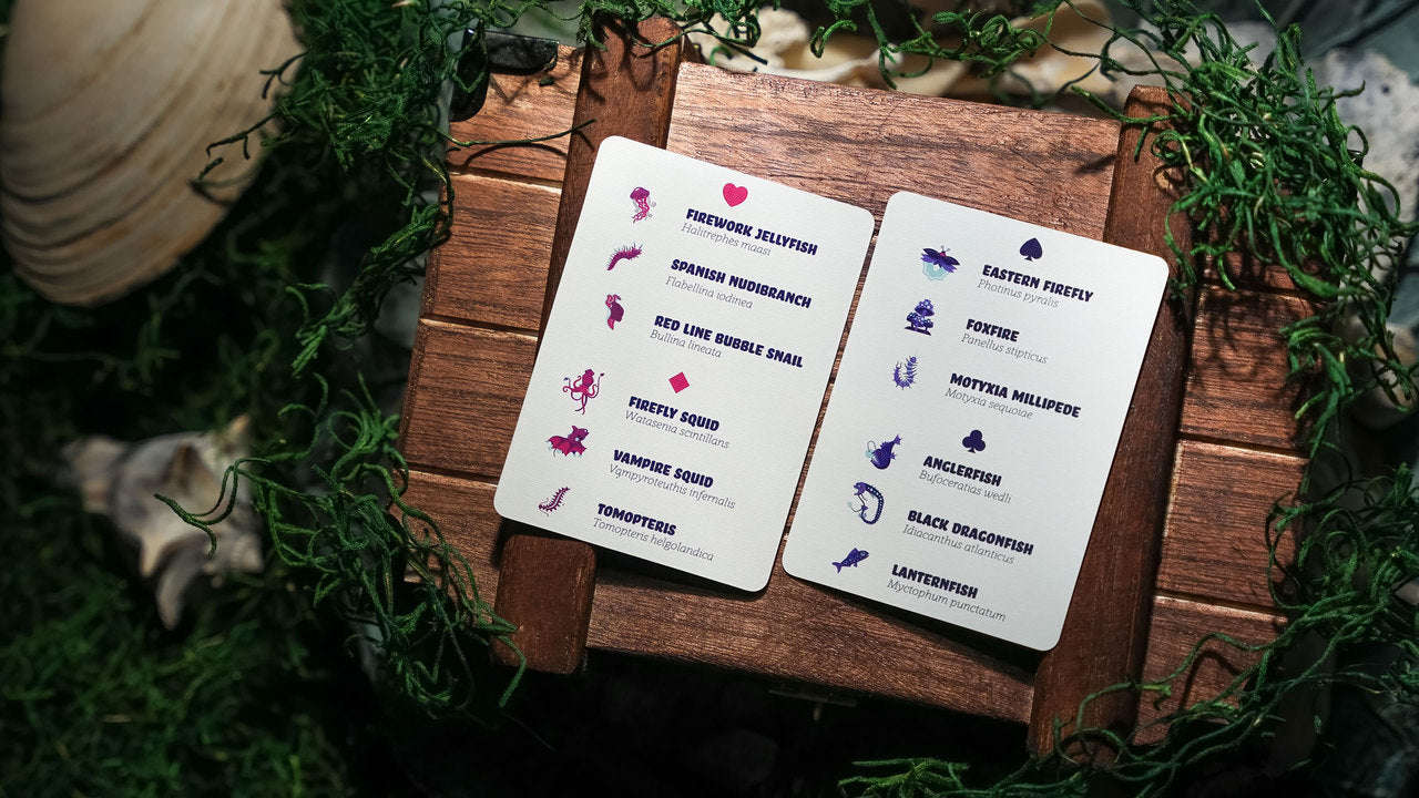 PlayingCardDecks.com-Bioluminescent Playing Cards