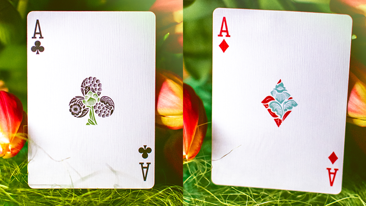 PlayingCardDecks.com-Butterfly Spring Marked Playing Cards Cartamundi